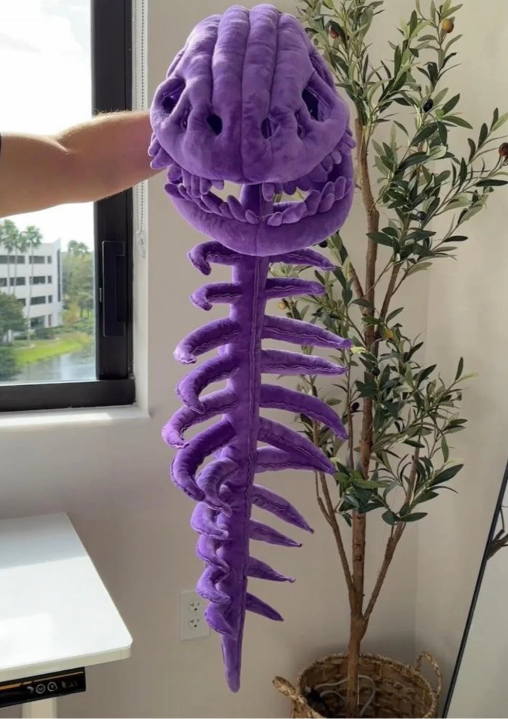 Le Tiny Rex™